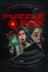 Puzzle Box vider