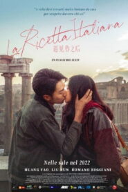 遇见你之后 vider