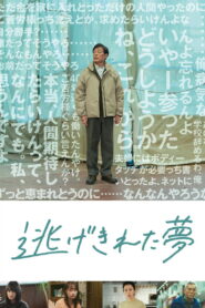 逃げきれた夢 vider