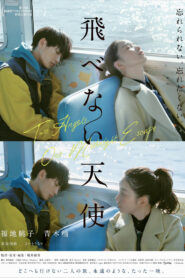 飛べない天使 vider