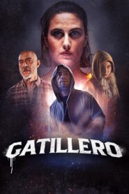 Gatillero vider