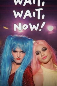 Wait, Wait, Now! vider