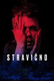 Стравично vider