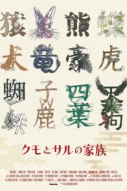 クモとサルの家族 vider