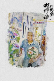 胡阿姨的花园 vider