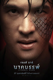 นาคบรรพ์ vider