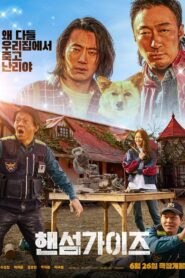 핸섬가이즈 vider