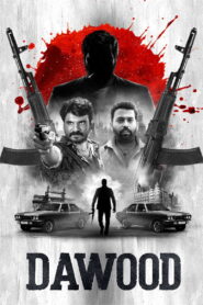 தாவூத் vider