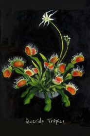 Querido Trópico vider