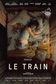 Le train vider