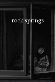 Rock Springs vider
