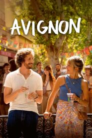 Avignon vider