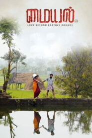 மையல் vider