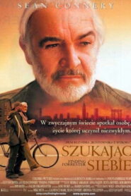 Szukając siebie vider