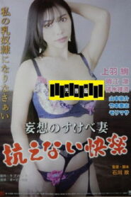 妄想のすけべ妻　抗えない快楽 vider