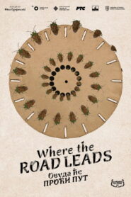 Овуда ће проћи пут vider