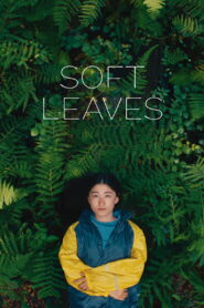 Soft Leaves vider