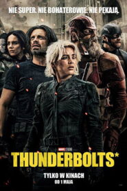 Thunderbolts* vider
