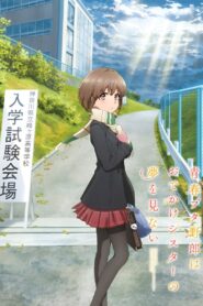 Rascal Does Not Dream of a Sister Venturing Out vider