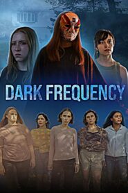 Dark Frequency vider