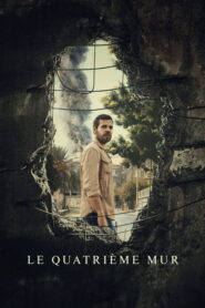 Czwarta ściana vider