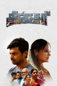 தினசரி vider