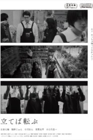 立てば転ぶ vider