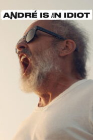 André Is an Idiot vider