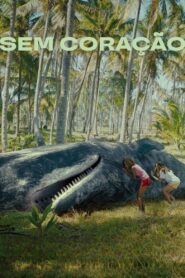 Sem Coração vider
