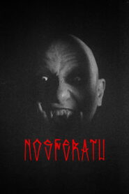 Nosferatu vider