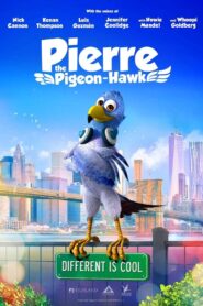 Pierre the Pigeon-Hawk vider