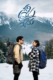 నీలి మేఘ శ్యామ vider