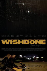 Wishbone vider