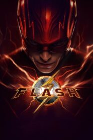 Flash vider