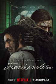 Frankenstein vider