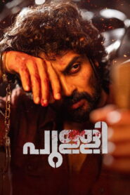 പുള്ളി vider