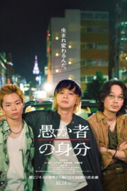 愚か者の身分 vider