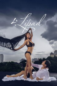 L3: Lipad vider
