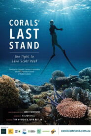 Corals’ Last Stand vider