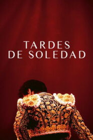 Tardes de soledad vider