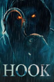 Hook vider