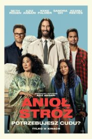 Anioł stróż vider