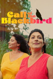 Call of the Blackbird vider