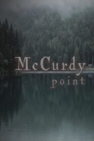 McCurdy Point vider