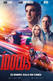 Ídolos vider
