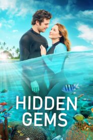 Hidden Gems vider
