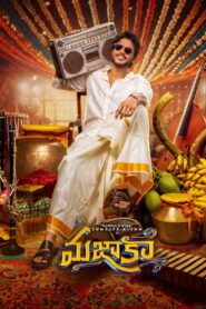 మజాకా vider