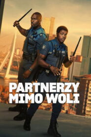 Partnerzy mimo woli vider