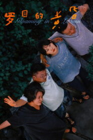 罗目的黄昏 vider