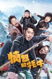 愤怒的牦牛 vider